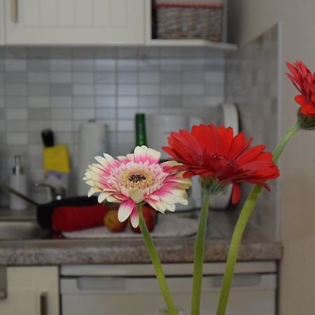 Ferienapartments Urlaub Und Meer Kühlungsborn Oda fotoğraf