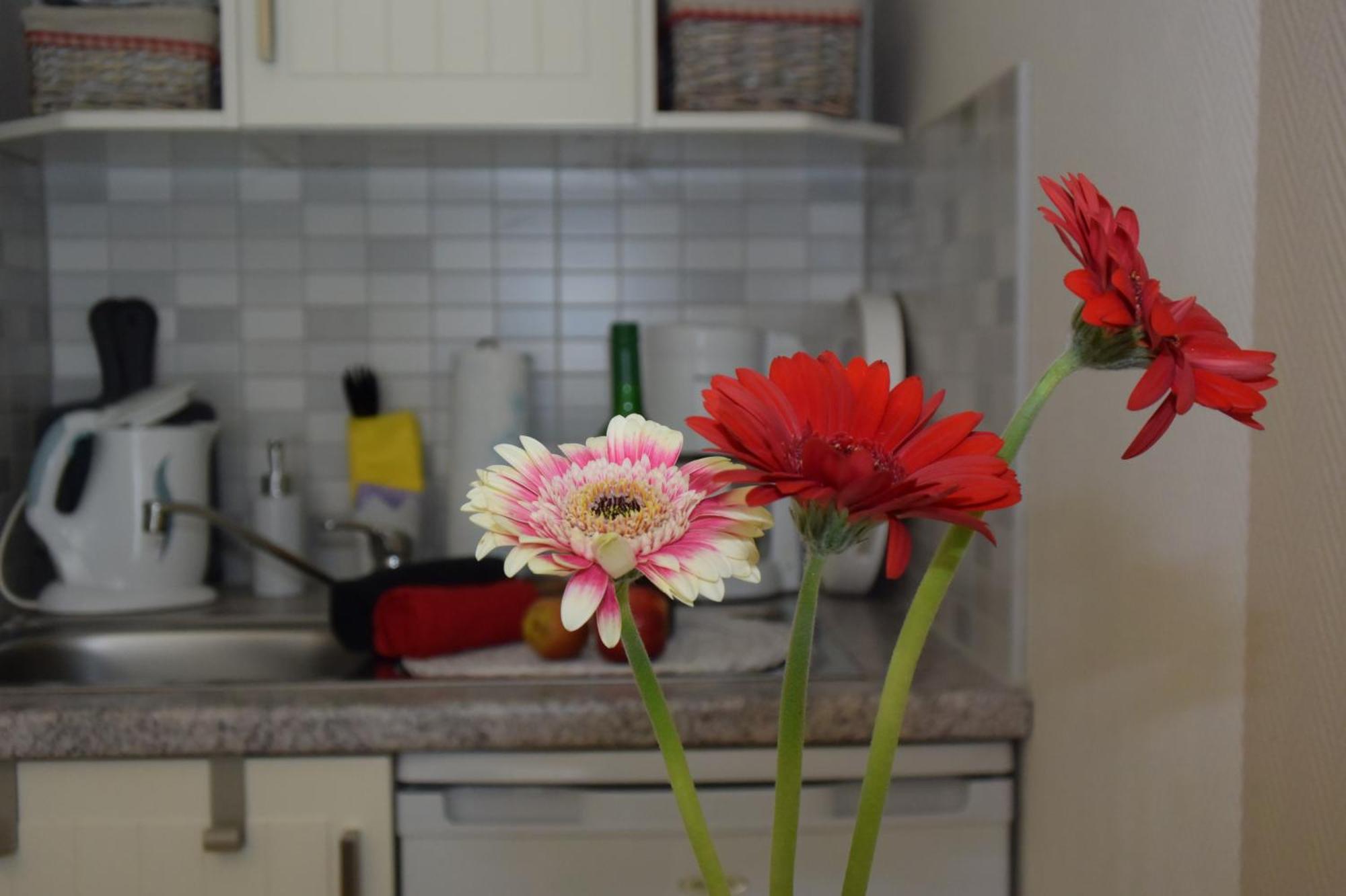 Ferienapartments Urlaub Und Meer Kühlungsborn Oda fotoğraf